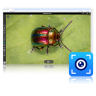 VisualCam Lite for Web