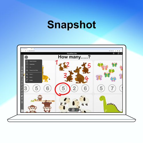 VisualCam Lite for Web